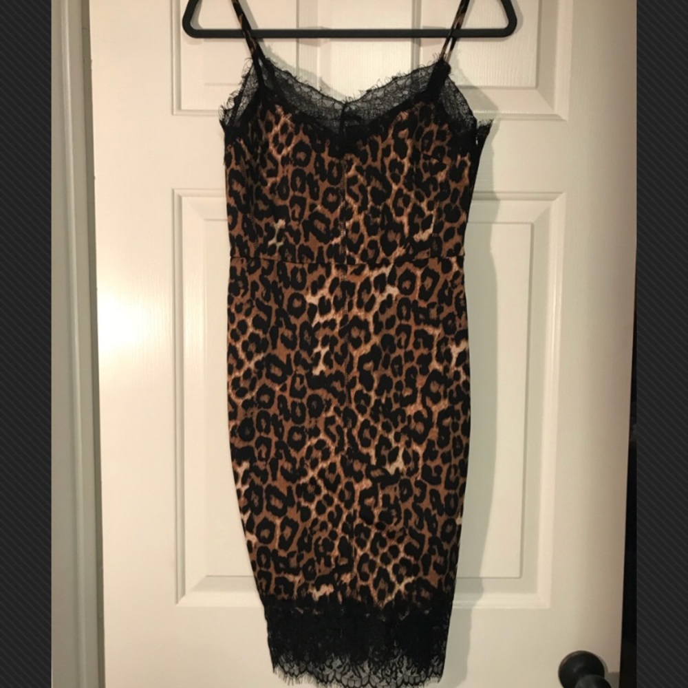 Venus Leopard Eyelash Lace Sex Kitten Dress